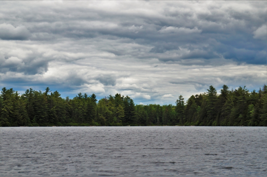 Pitchfork Pond Tupper Lake NY Nature Up North